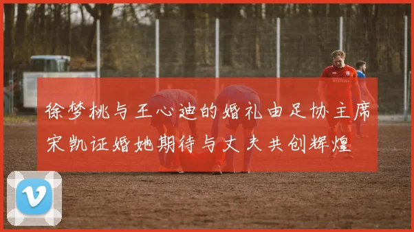 徐梦桃与王心迪的婚礼由足协主席宋凯证婚她期待与丈夫共创辉煌
