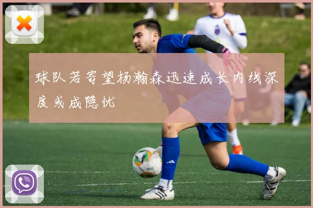 球队若寄望杨瀚森迅速成长内线深度或成隐忧