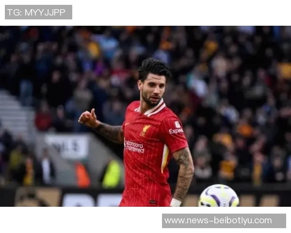 利物浦积极推动赫拉芬贝赫与索博斯洛伊续约事宜